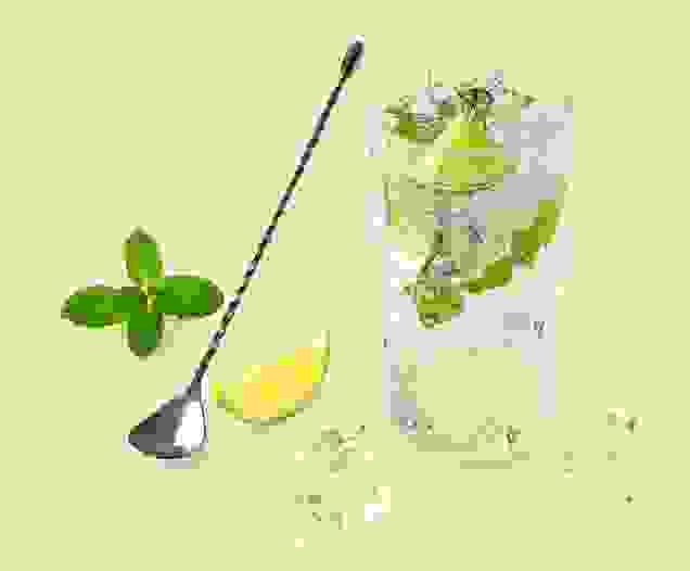 gin-mojito-web-retina-02