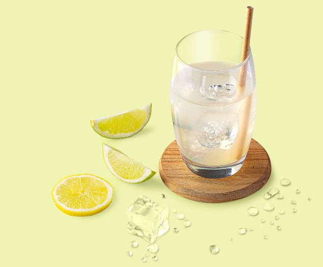 zesty-ginger-web-retina-02